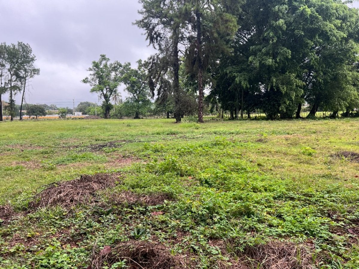Terreno de 20,824 m² en Senador, Piedra Blanca – foto 3