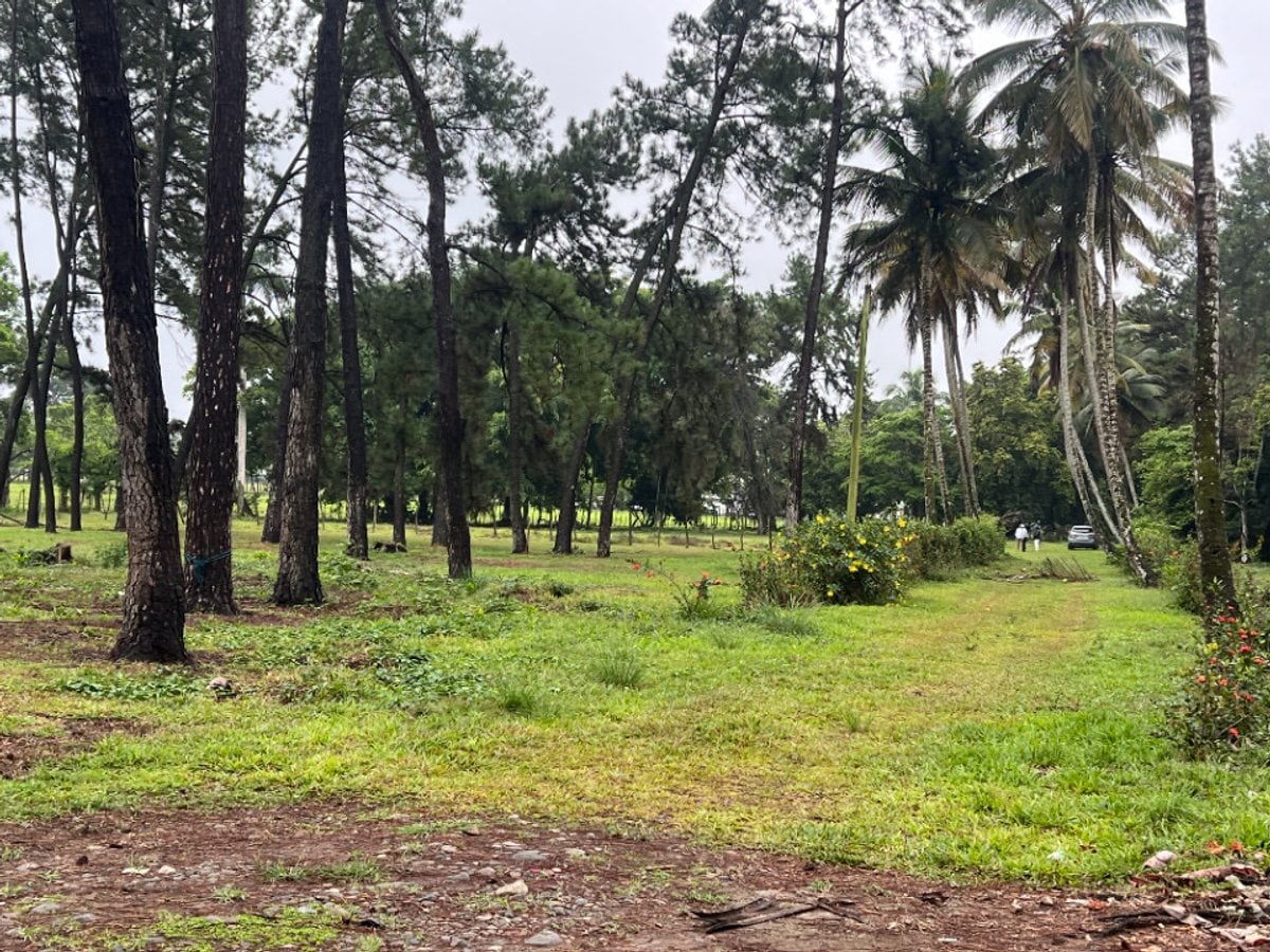 Terreno de 20,824 m² en Senador, Piedra Blanca – foto 11