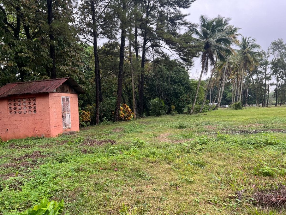 Terreno de 20,824 m² en Senador, Piedra Blanca – foto 9