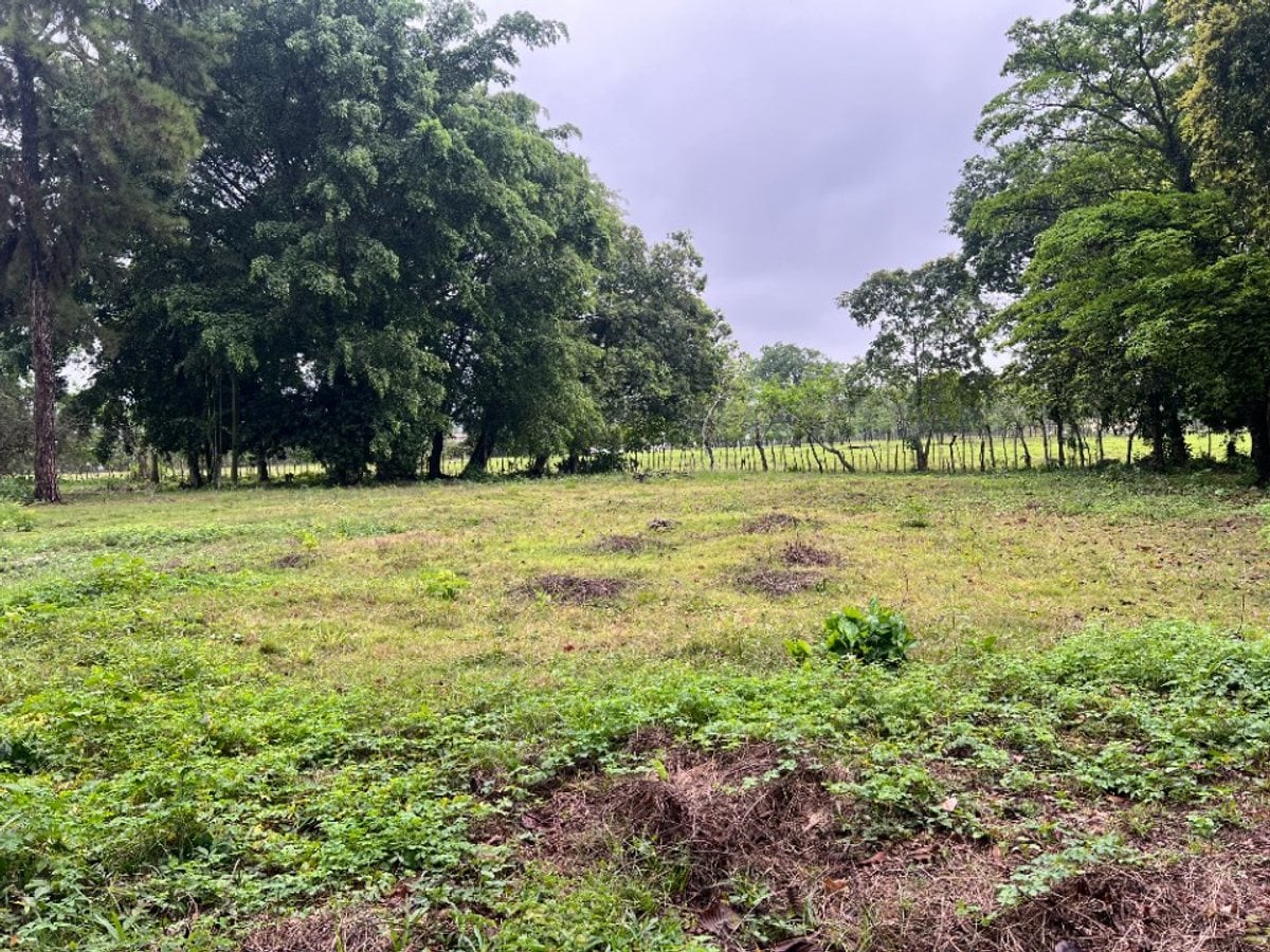 Terreno de 20,824 m² en Senador, Piedra Blanca – foto 1