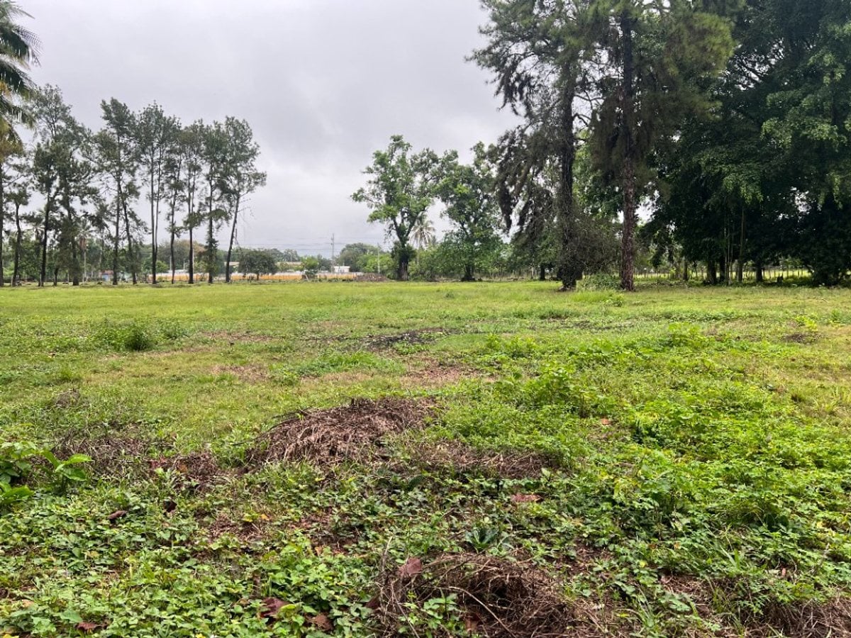 Terreno de 20,824 m² en Senador, Piedra Blanca – foto 5