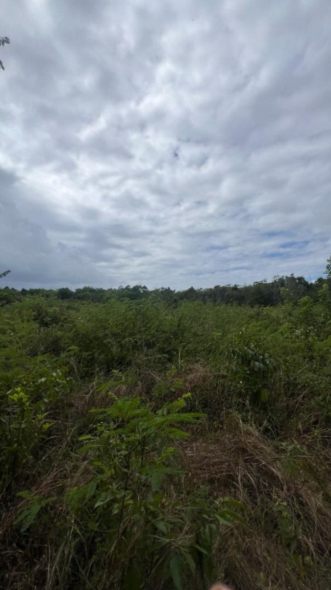 Solar de 4000 metros en Juan Dolio – foto 2