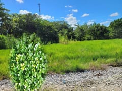 Terreno en venta en Nagua, Proyecto Nueva Nagua – foto 5