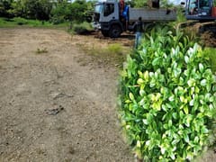 Terreno en venta en Nagua, Proyecto Nueva Nagua – foto 6
