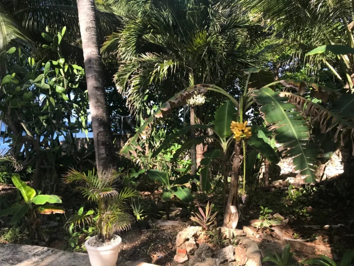 Casa en Costa Verde, frente al mar Caribe – foto 8