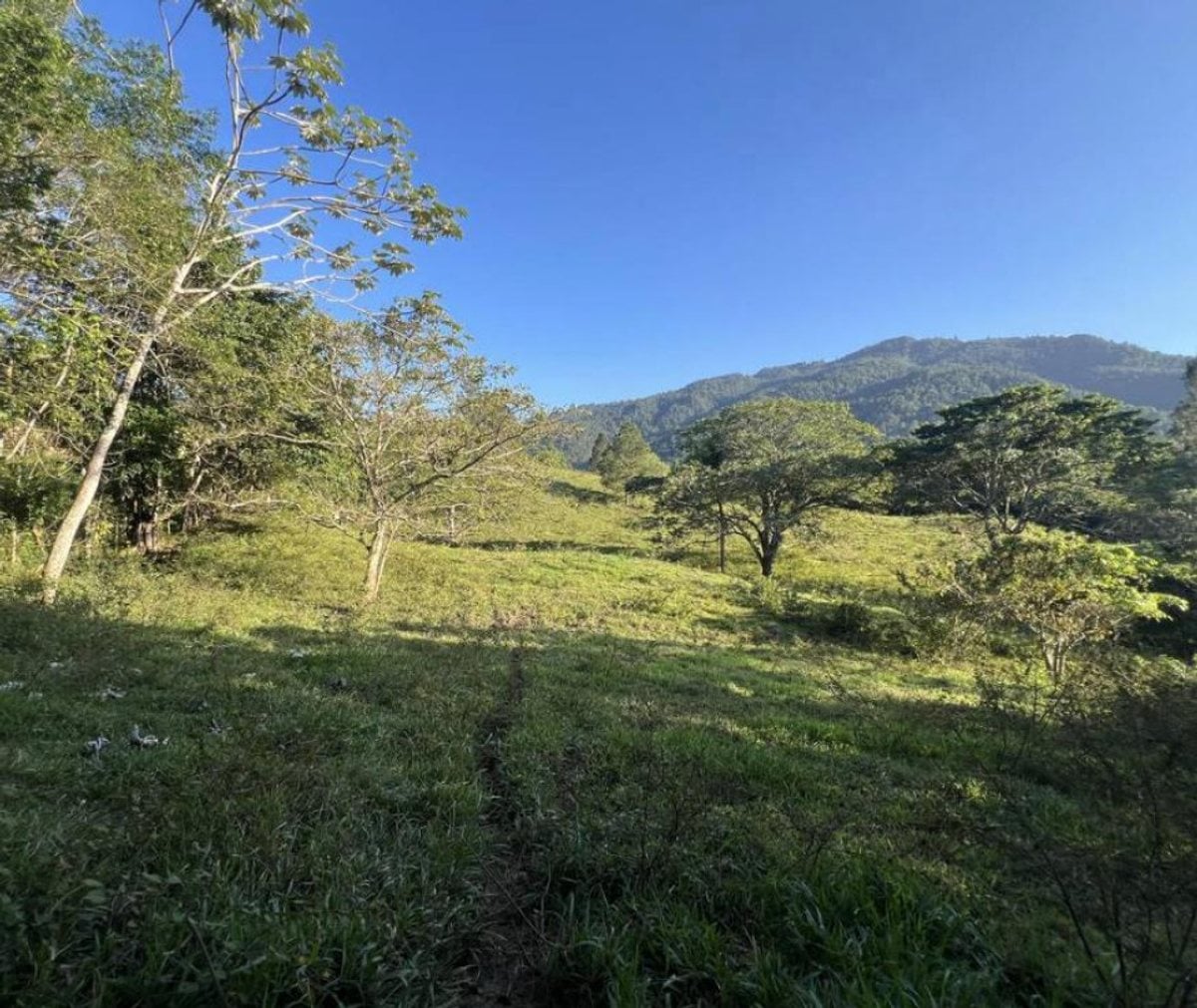 Terreno en Venta en Jarabacoa – foto 1
