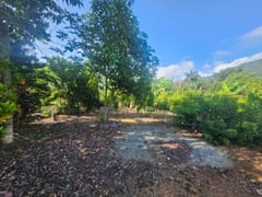 Finca en venta en Los Mogotes, Villa Altagracia – foto 3