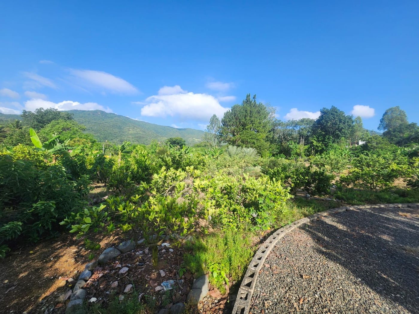 Finca en venta en Los Mogotes, Villa Altagracia – foto 1