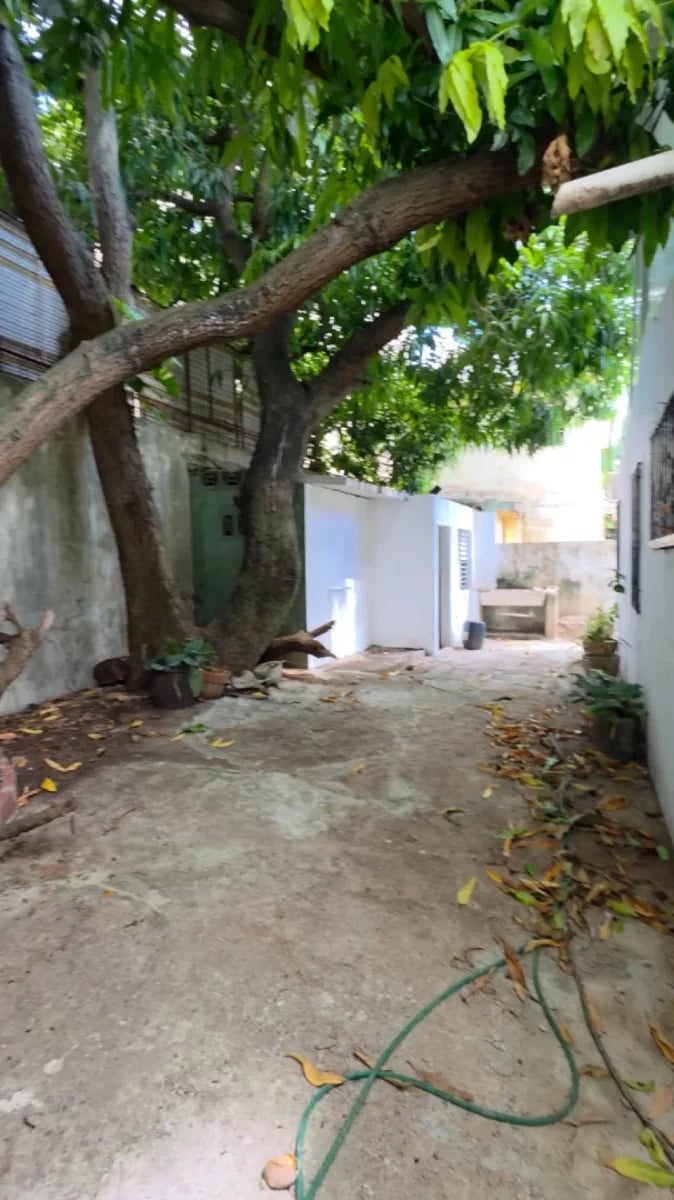 Casa en alquiler comecial – foto 5