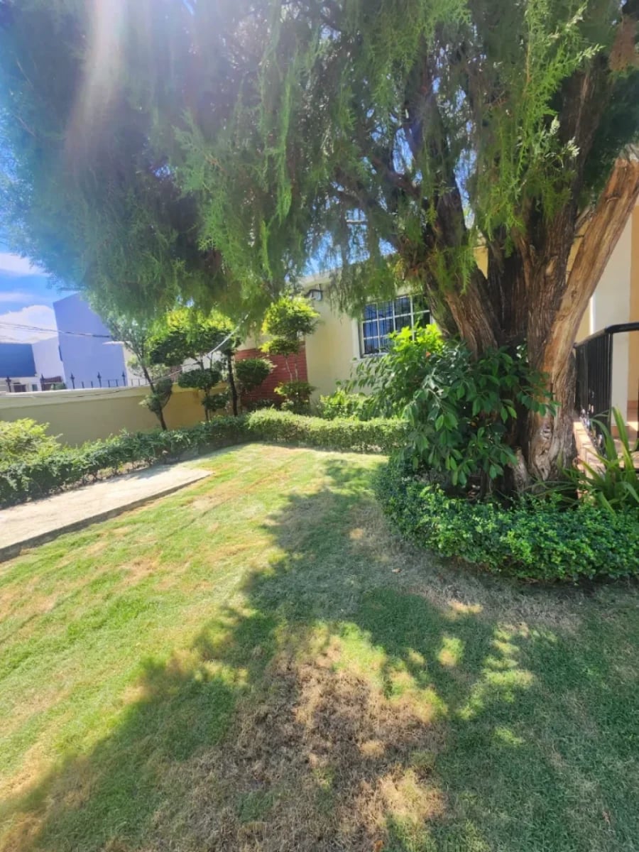 Casa amplia en Los Prados, alquiler – foto 8
