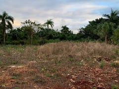 Terreno en venta en Cabrera, El Jamo, 1,122 m² – foto 2