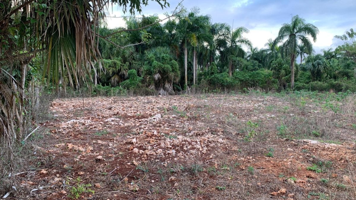 Terreno en venta en Cabrera, El Jamo, 1,122 m² – foto 1