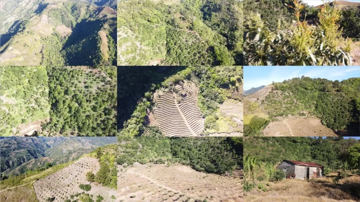 Finca en La Horma, Sabana Larga – foto 11