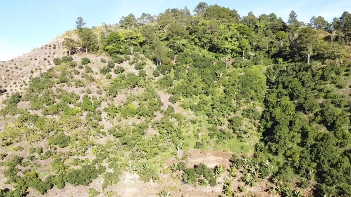 Finca en La Horma, Sabana Larga – foto 12