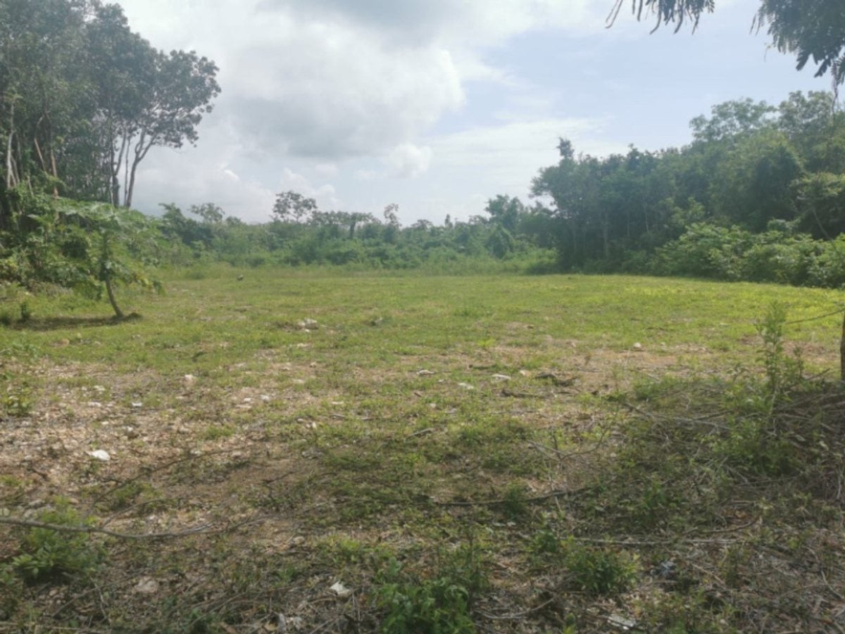 Terreno En Juan Dolio, San Pedro De Macorís – foto 5