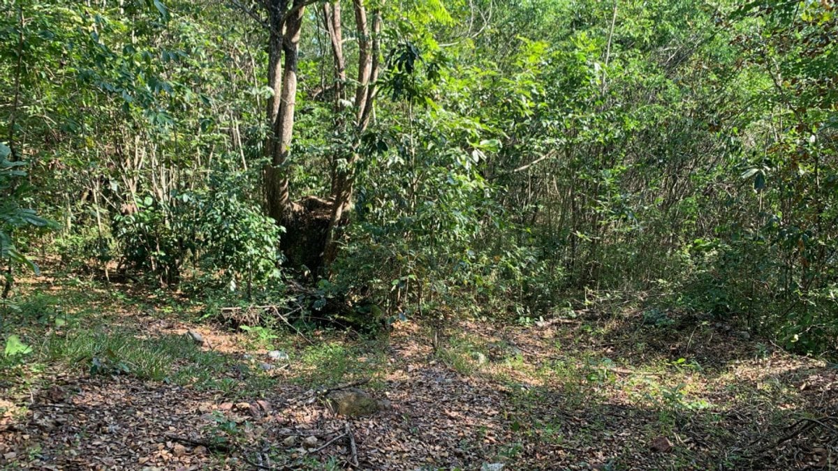 Terreno en Venta en Villa Mella, Santo Domingo – foto 3