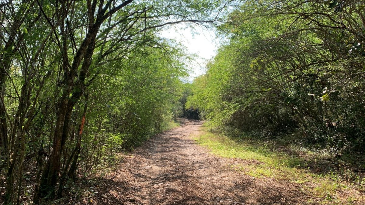 Terreno en Venta en Villa Mella, Santo Domingo – foto 1