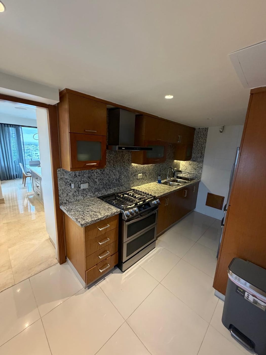 APARTAMENTO DE LUJO EN ALMA ROSA, | 325 M – foto 11
