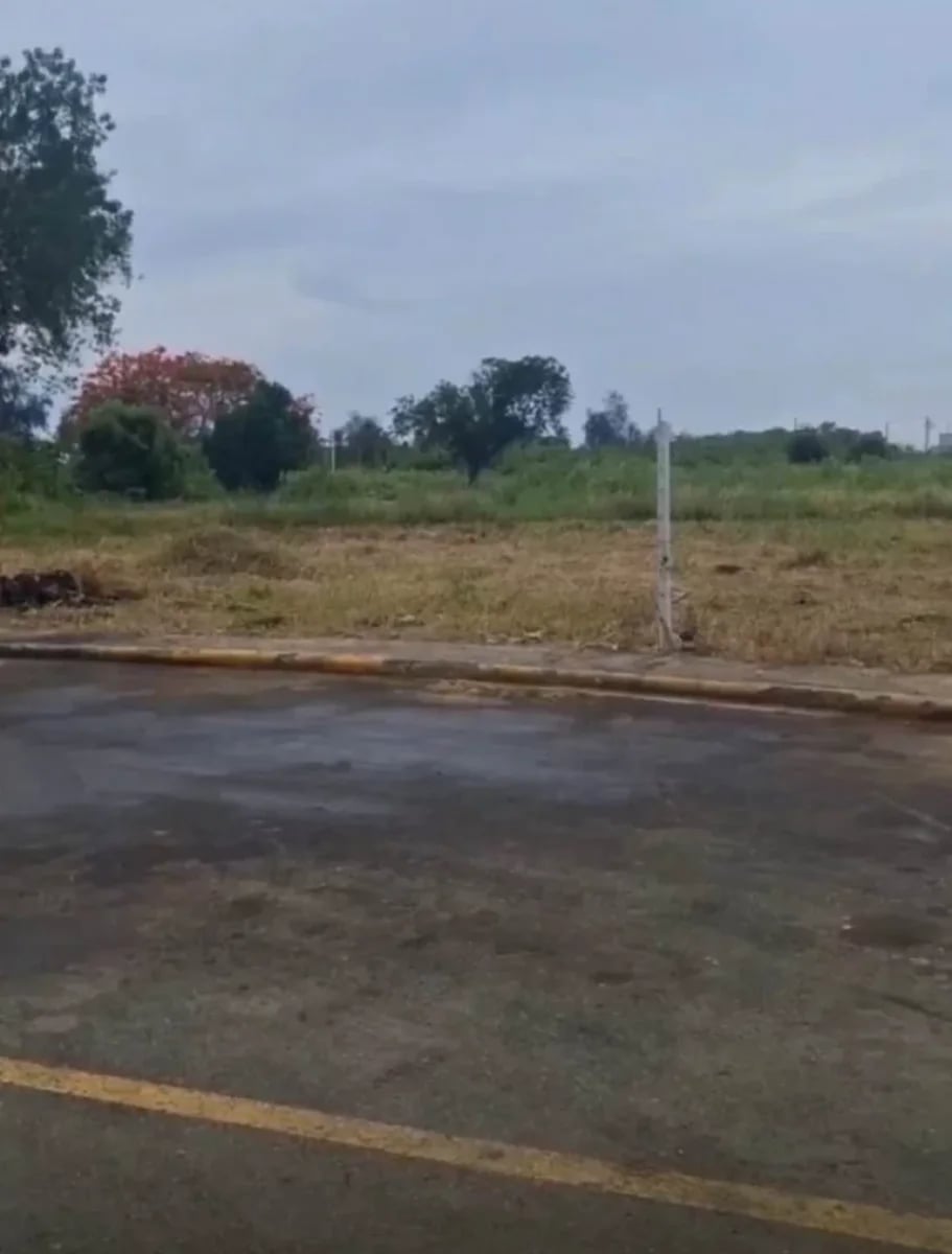 Terreno en KM 22 Marginal Las Américas – foto 2