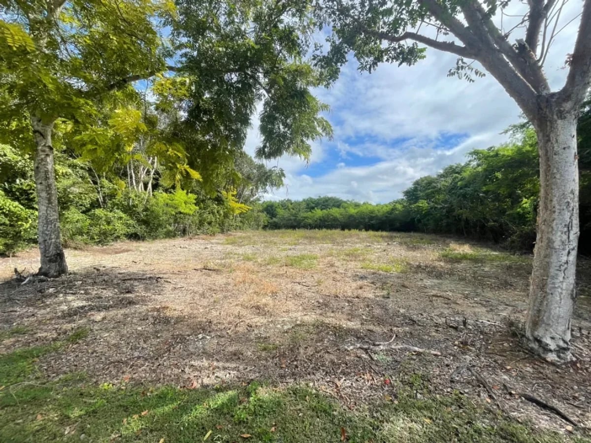 Terreno en Guayacanes, San Pedro de Macorís – foto 3
