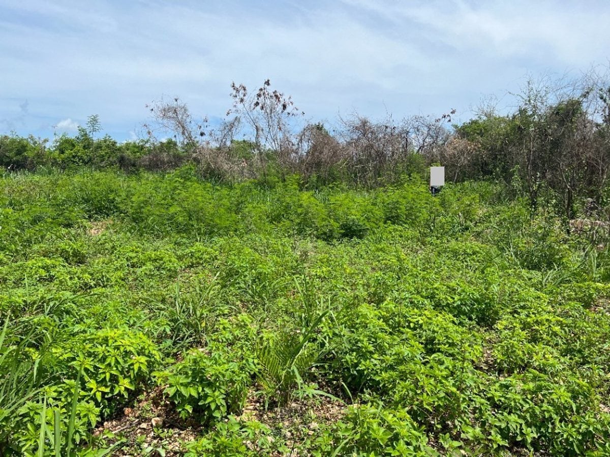 Terreno En Comatillo, Bayaguana – foto 1