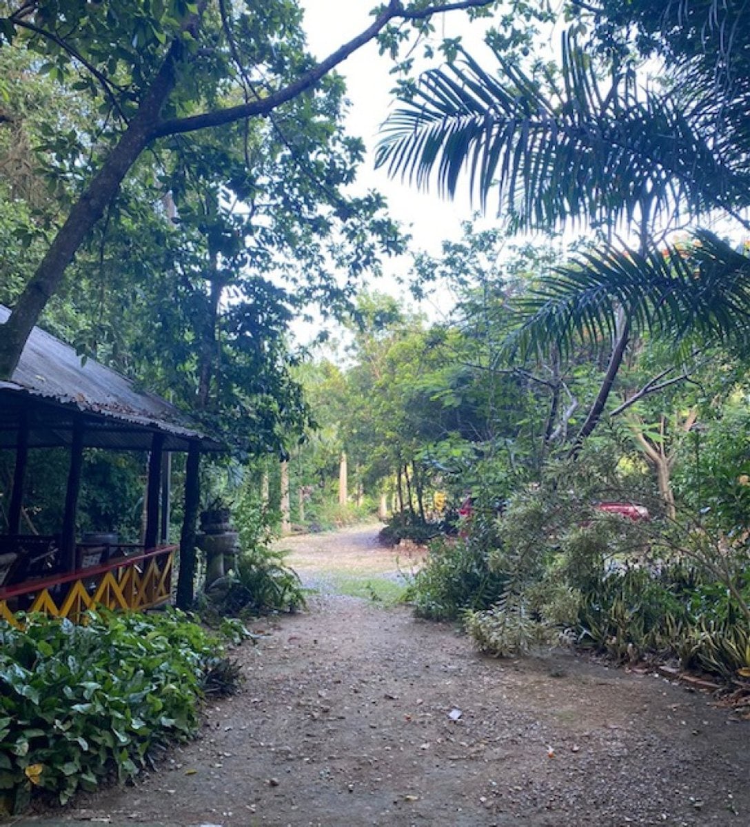 Hermosa Finca En Santiago – foto 7