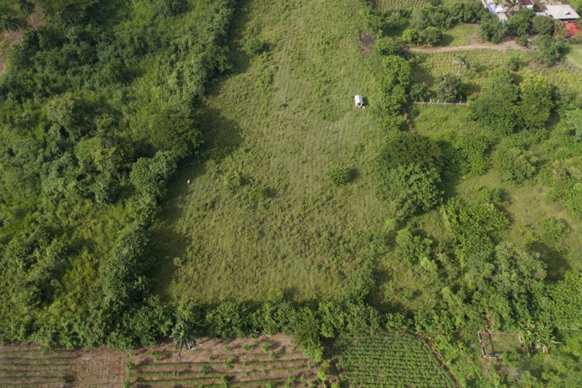Terreno en Venta en Bonao – foto 2