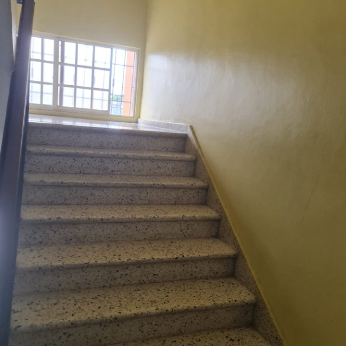 Local Comercial En Quisqueya, Santo Domingo De Guz – foto 3