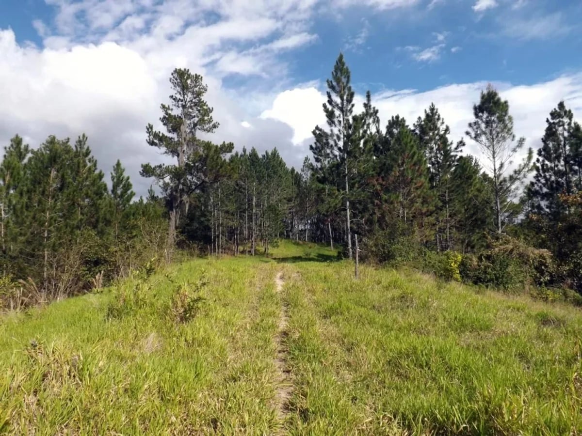 Vendo Finca en San Jose de Las Matas – foto 5