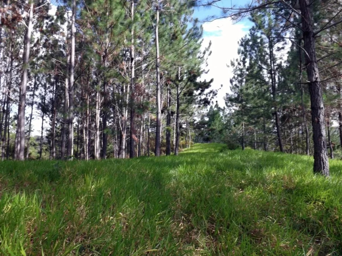 Vendo Finca en San Jose de Las Matas – foto 1