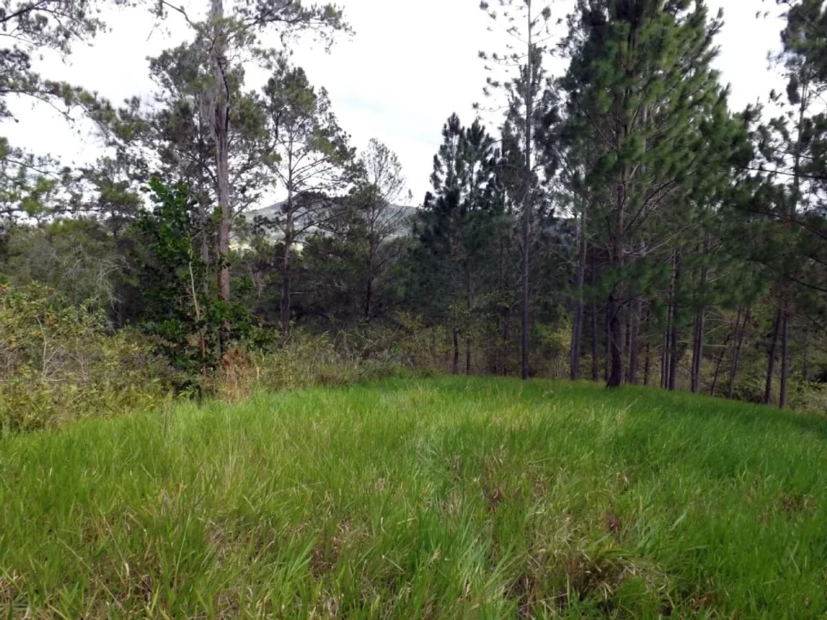 Vendo Finca en San Jose de Las Matas – foto 2