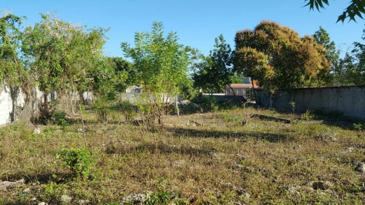 Terreno Espacioso en La Caleta, Boca Chica – foto 3