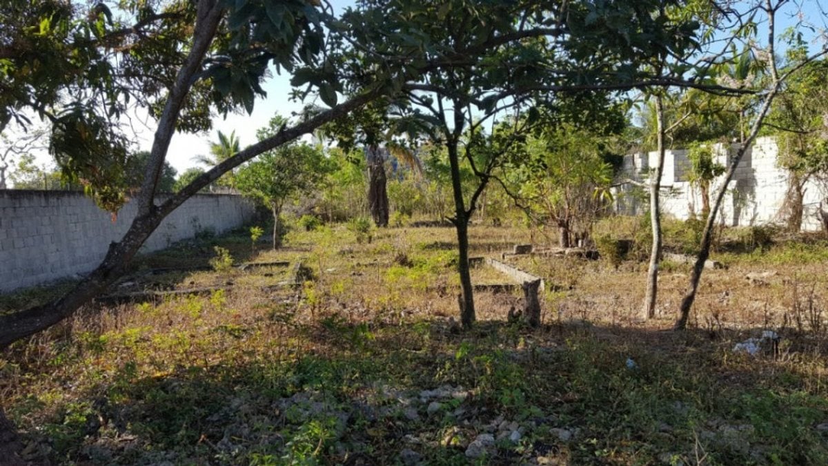 Terreno Espacioso en La Caleta, Boca Chica – foto 4