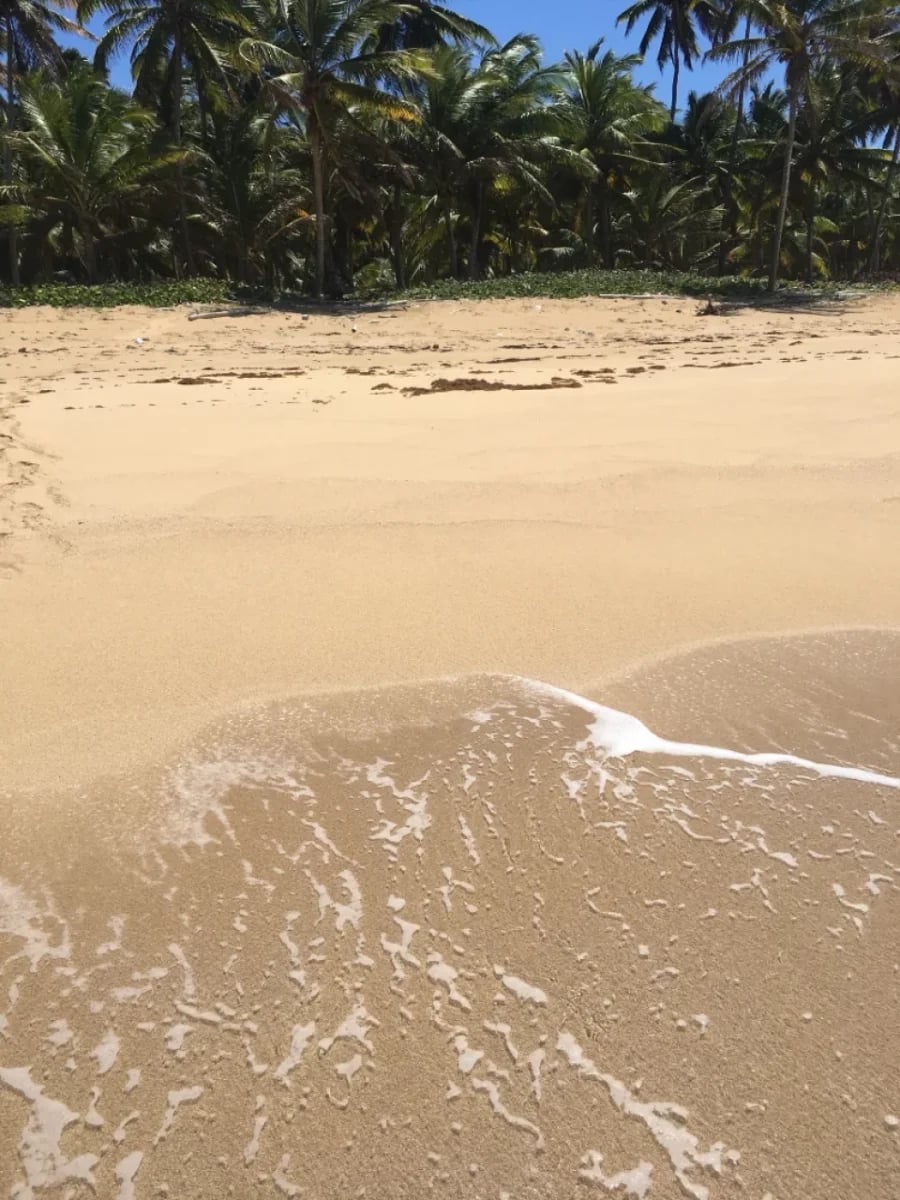 Terreno en Playa Sabana de Nisibón – foto 5