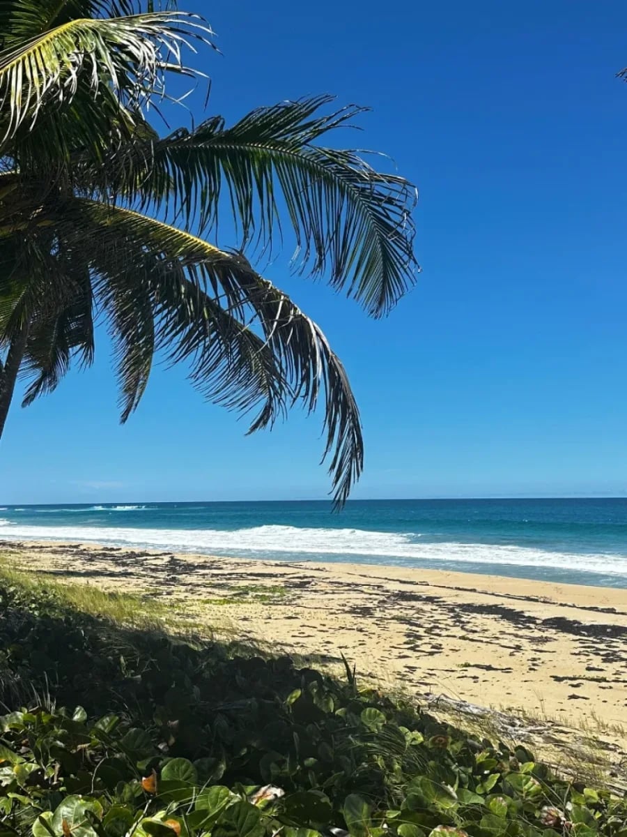 Terreno en Playa Sabana de Nisibón – foto 3