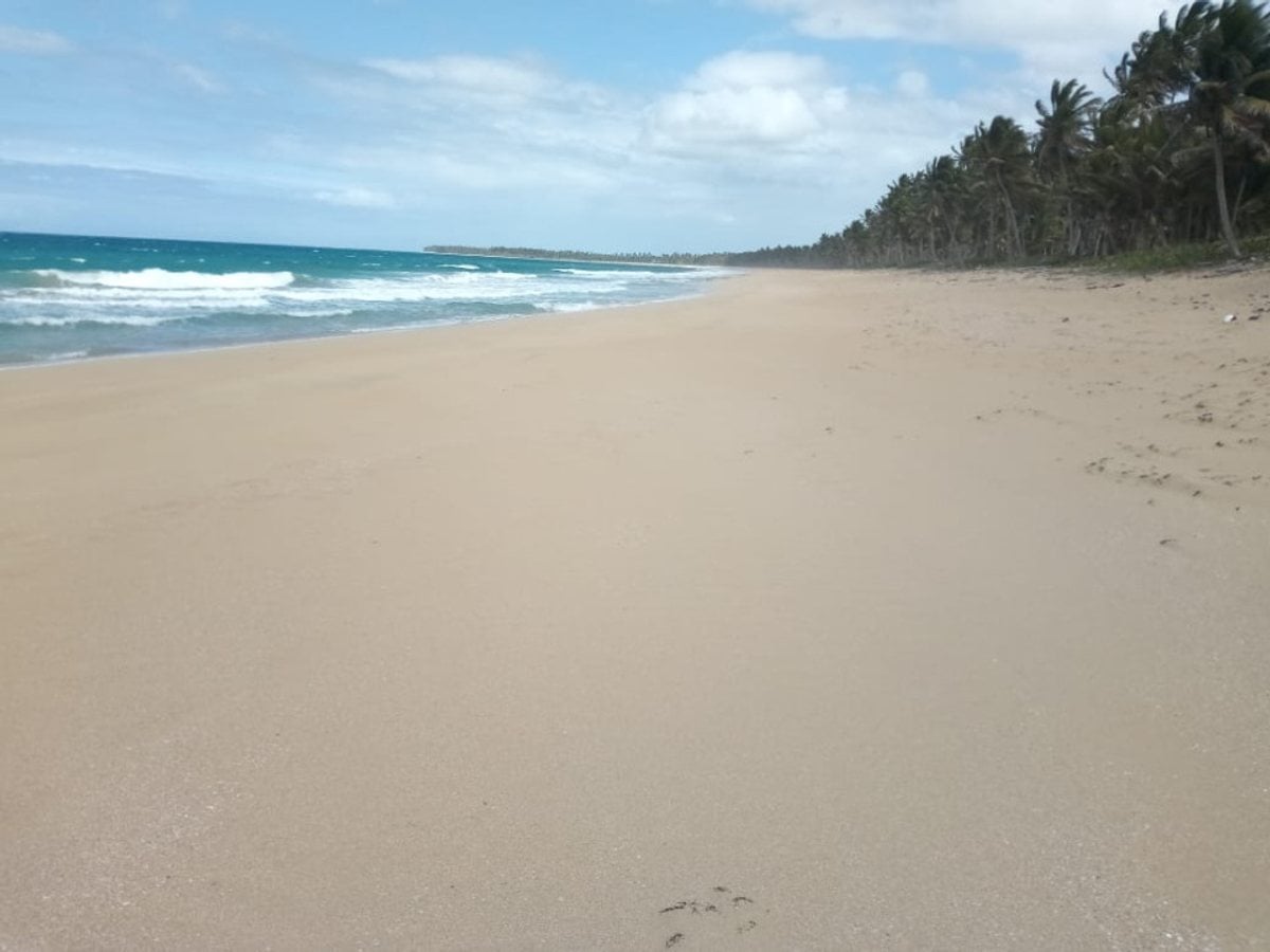 Terreno en Playa Sabana de Nisibón – foto 8