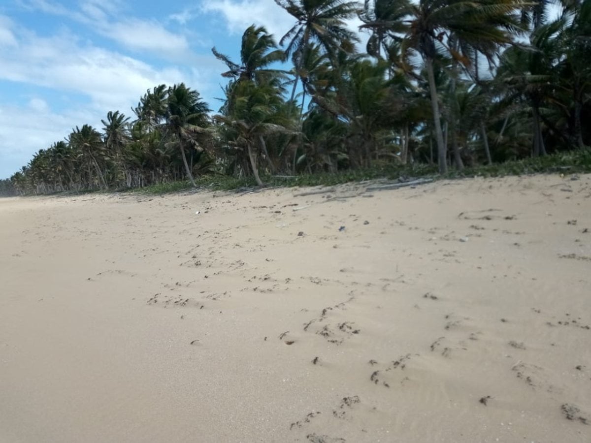 Terreno en Playa Sabana de Nisibón – foto 6