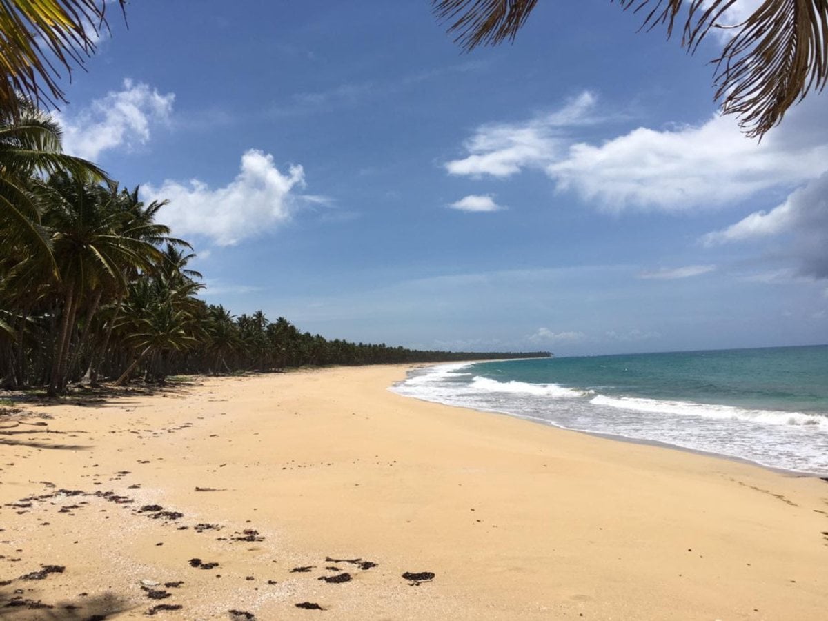 Terreno en Playa Sabana de Nisibón – foto 7