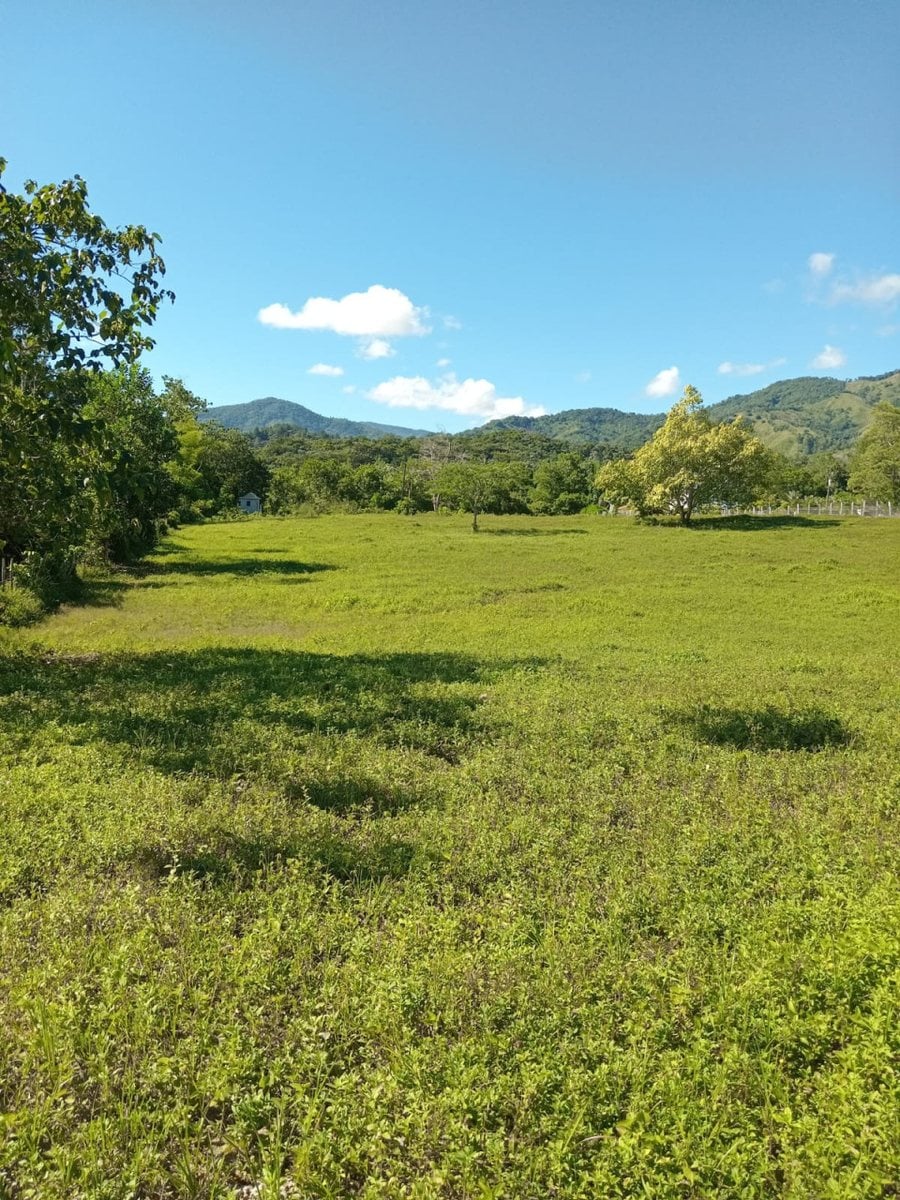 Terreno en venta en Villa Altagracia, Los Mogotes – foto 1