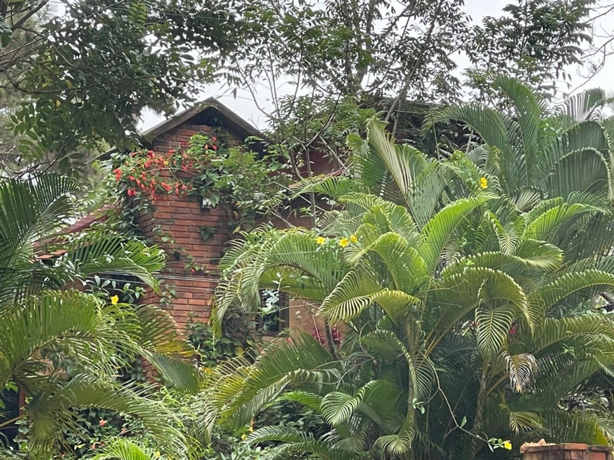 Casa en Jarabacoa, Buena Vista, 4 habitaciones – foto 11