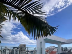 Apartamento en alquiler en Piantini – foto 3