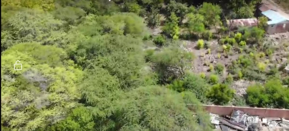 terreno en pedernales – foto 5