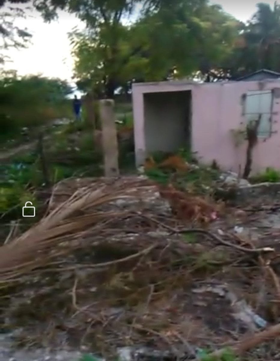 terreno en pedernales – foto 3