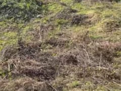 Terreno en venta en Naco Golf y Country Club – foto 4