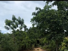 Terreno en venta en Las Galeras, Samaná – foto 4
