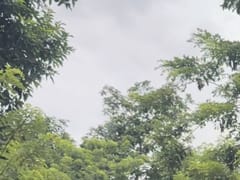 Terreno en venta en Las Galeras, Samaná – foto 3