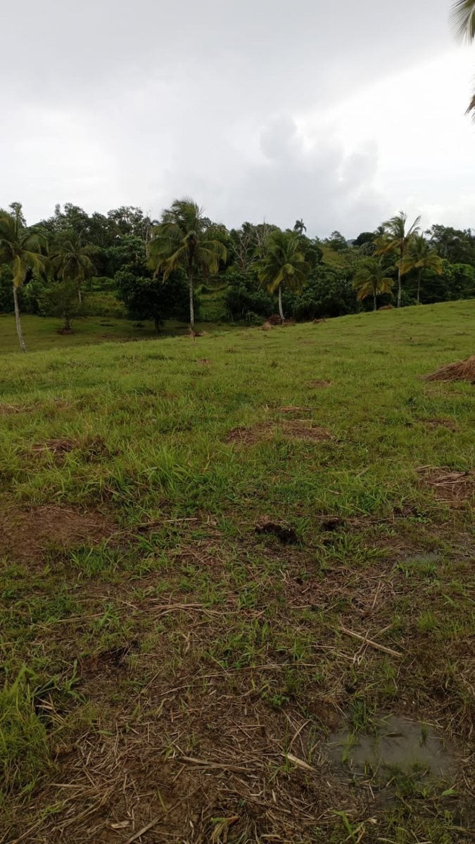 Terreno en Samaná, Juana Vicenta – foto 2