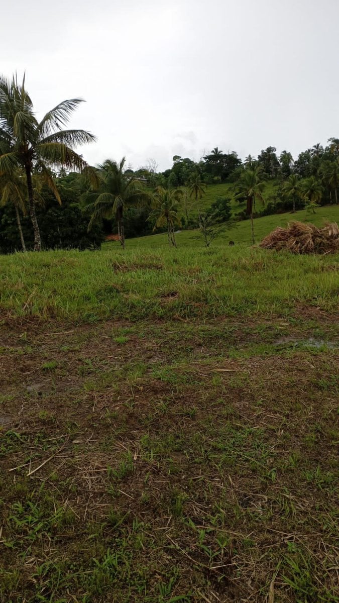 Terreno en Samaná, Juana Vicenta – foto 1