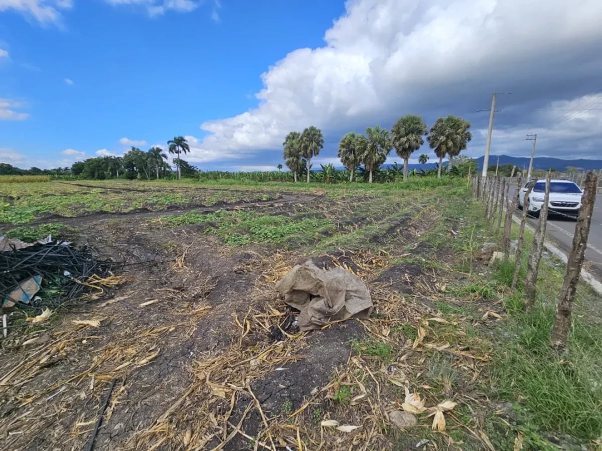 Finca en El Caímito de la Rosario, Moca – foto 5