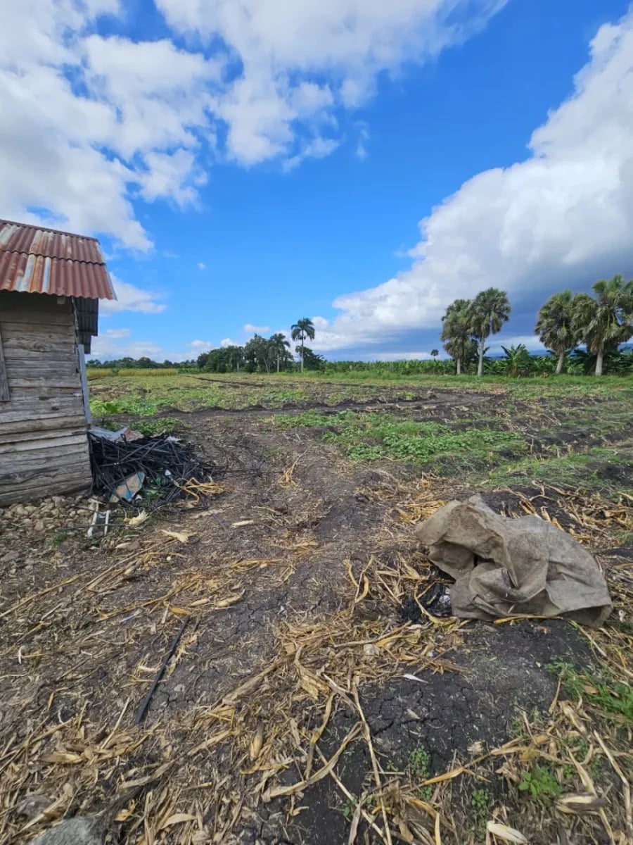 Finca en El Caímito de la Rosario, Moca – foto 3
